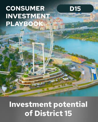 OrangeTee Consumer Investment Playbook for D15